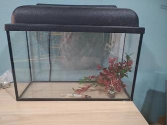 Продается аквариум