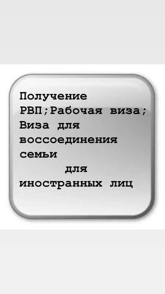 РВП.Рабочая виза,Присвоение БИН для иностранных компаний.