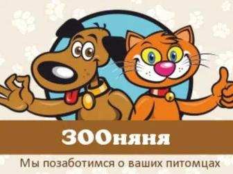 Зооняня, уход за домашними животными У вас дома