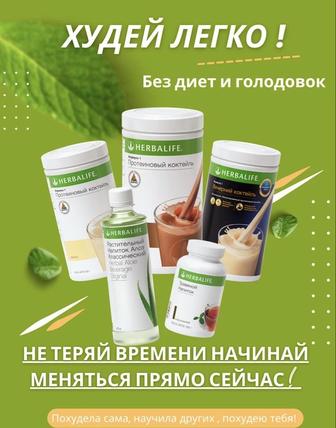 Herbalife продукты чай коктейль