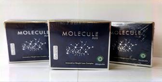 Molecule Plus