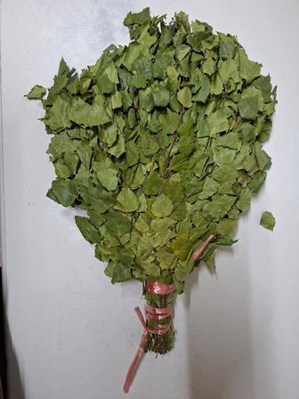 Веник берёзовый