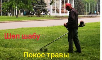 Покос травы. Шөп шабу