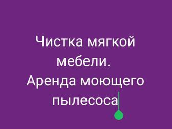Моющий пылесос в аренду