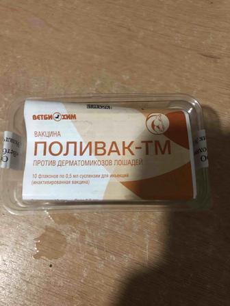 Поливак