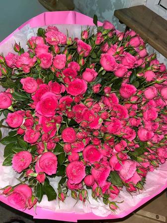 Продам цветы