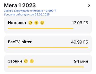 Продам Гигабайты Beeline до часу ночи 24 декабря