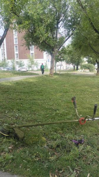 Покос травы