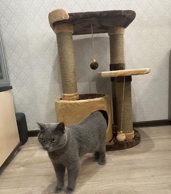 Домик для кошки