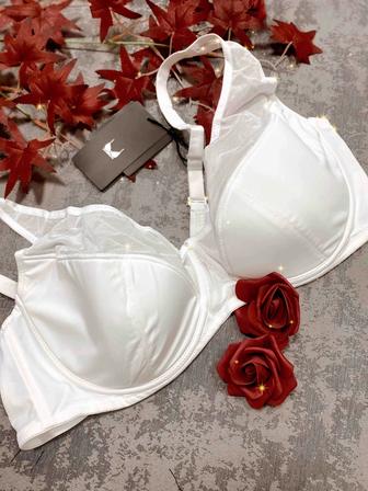 Бюстгальтер