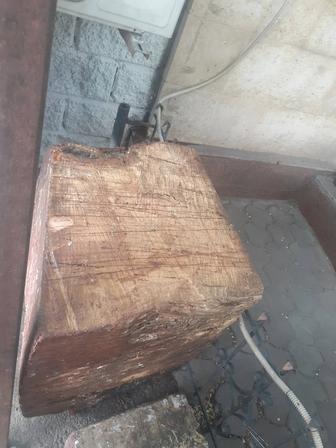Срочно продам пенек