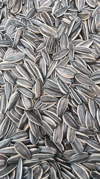 Продам семечки оптом