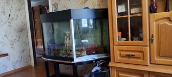 Аквариум из стекла