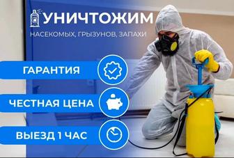 дезинсекция от тараканов и клопов
