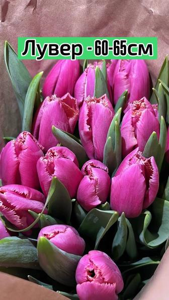 ТЮЛЬПАНЫ!!! Талдыкорган!