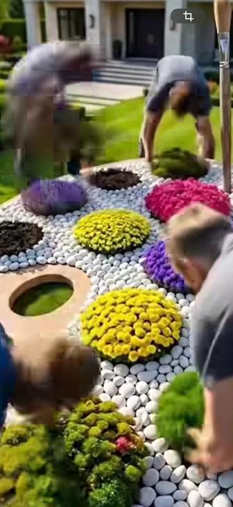 Посадка деревьев и озеленение под ключ!