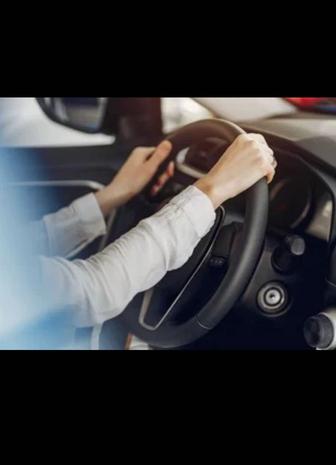 Семейный водитель