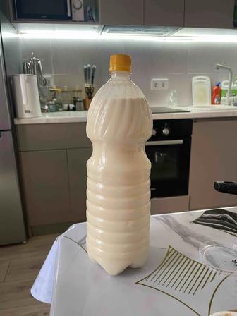 Кымыз, чистый. Таза қымыз, кумыс