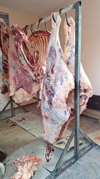 Продается мясо говядина
1 жілік 3500тг
