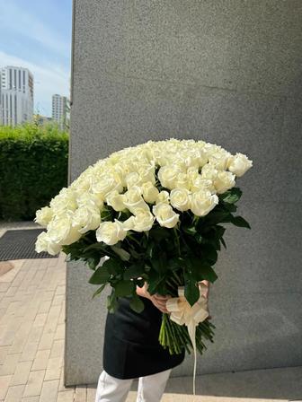 Цветы белые розы