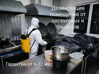 Дезинфекция от насекомых
