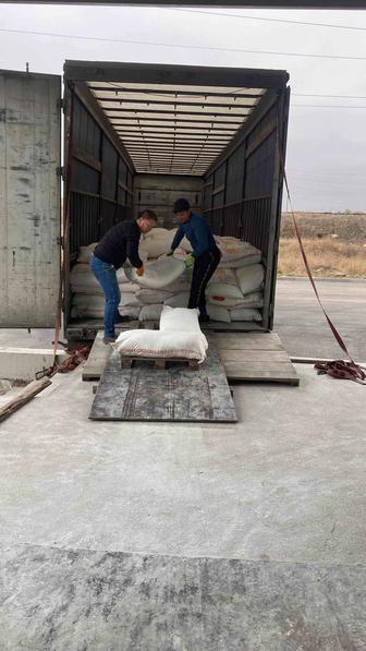 Услуги грузчики от 3500