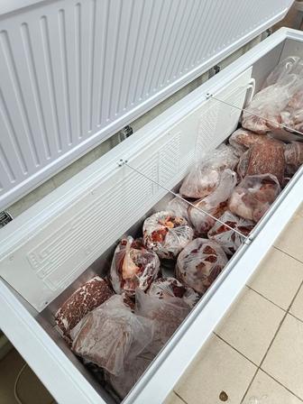 Ремонт холодильника и морозильников