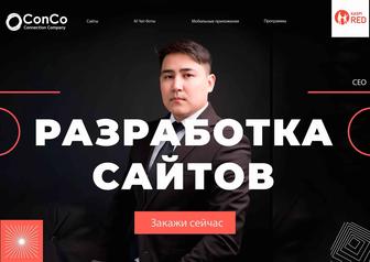 Разработка профессиональных сайтов 12 лет опыта