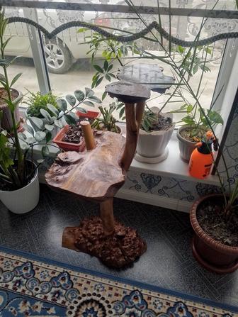 Поставки для домашних цветов