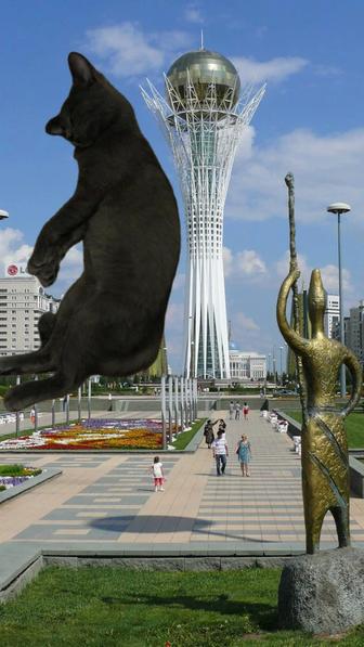 Котенок мальчик в добрые руки