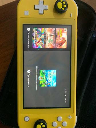 Nintendo switch lite