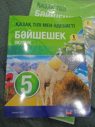 Книга по Каз яз 5 класс