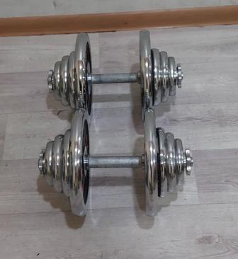 Гантели разборные пара 40кг(20 кг 20кг)