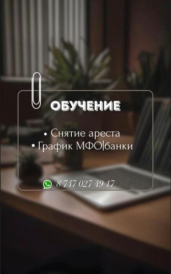 Обучение снятие ареста,график МФО, банки, уменьшение платежа