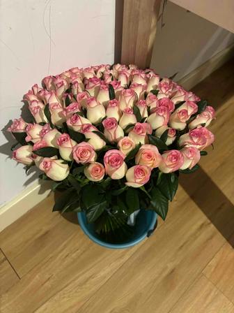 Продам цветы свежие сегодняшние