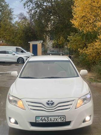 Трезвый водитель