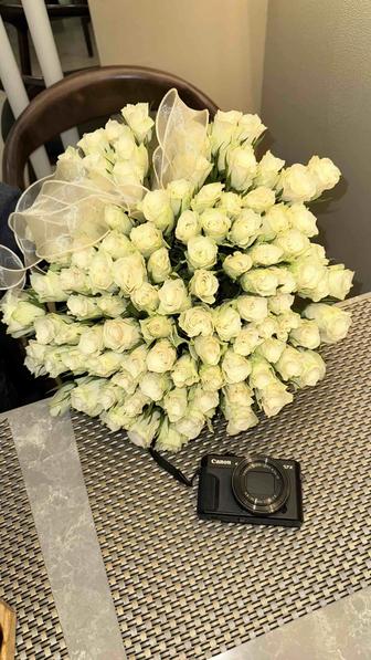 Продам цветы 101 кенийских роз