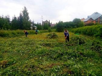 Уборка участка