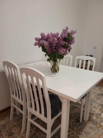 Стол и стулья