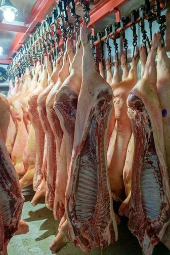 Мясо свинины в полутушах