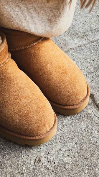 Женские угги UGG