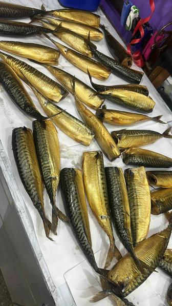 Продам копченую скумбрию.