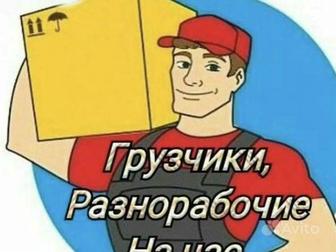 Услуги Грузчика по Городу выгрузка и погрузка строительных материалов