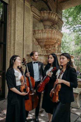 Струнный квартет