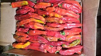 Полугоркий перец Дунганский