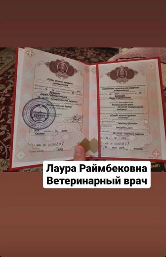 Онлайн ветеринар