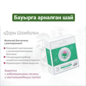 Бауырга, Буйрекке, Өтке, Асқазанға т.б чайлар