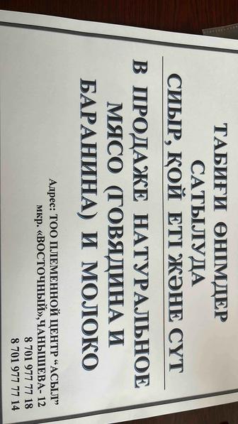 В продаже мясо(говядина и баранина) и молоко