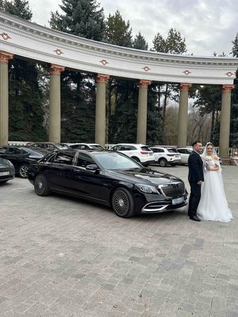 Maybach transfer прокат Мерседес-Майбах аренда авто с водителем.