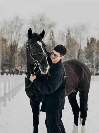 Мобилограф